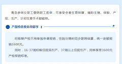 <b>职工医保生娃福利拉满！产检定额、分娩全报、</b>